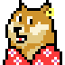doge